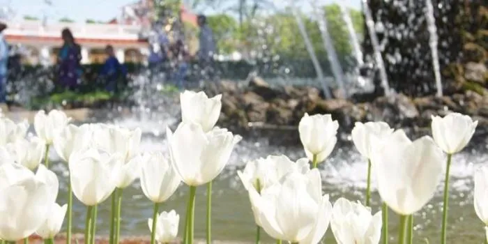 ClickHelp April 2017 Release Notes